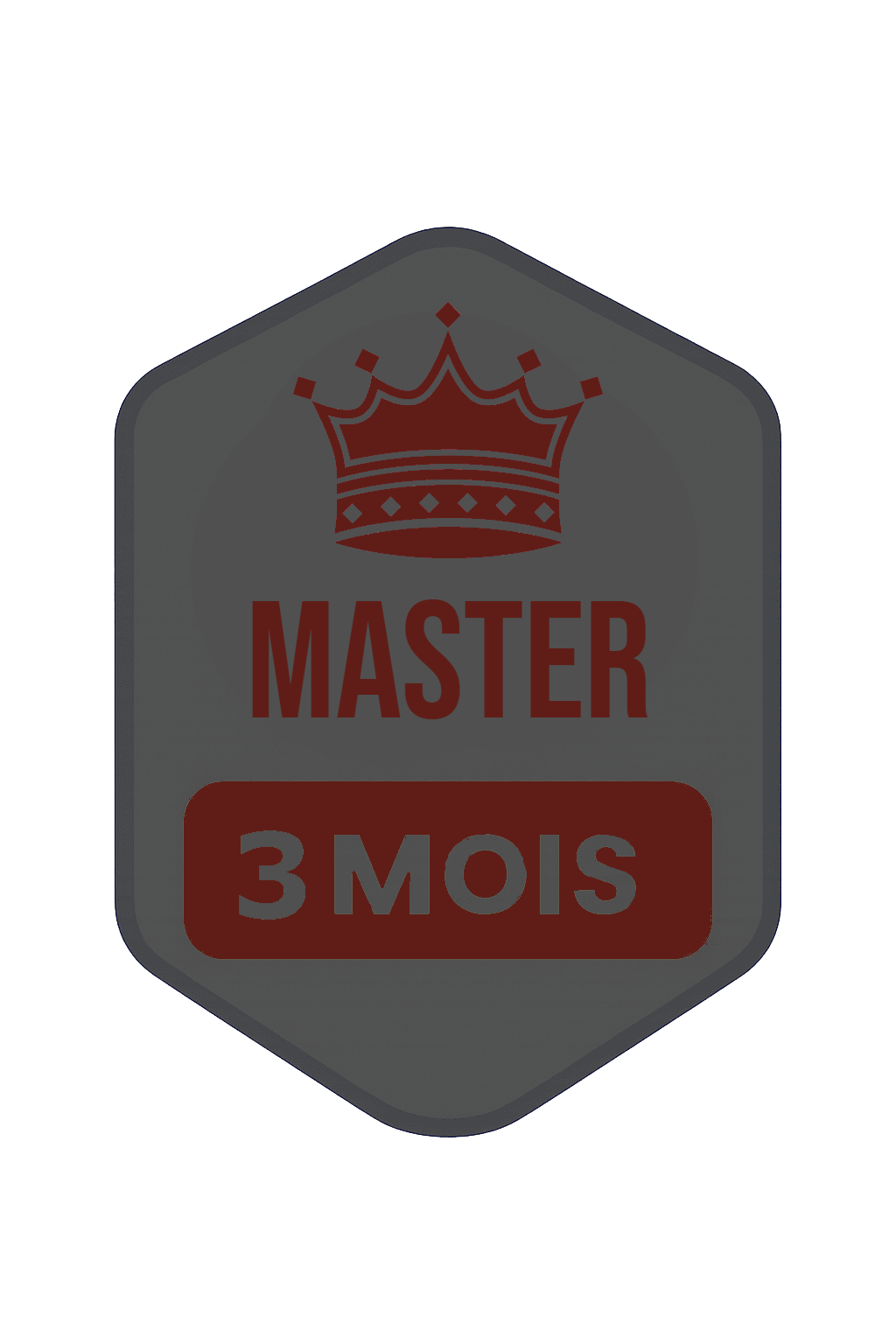 MASTER 3 mois