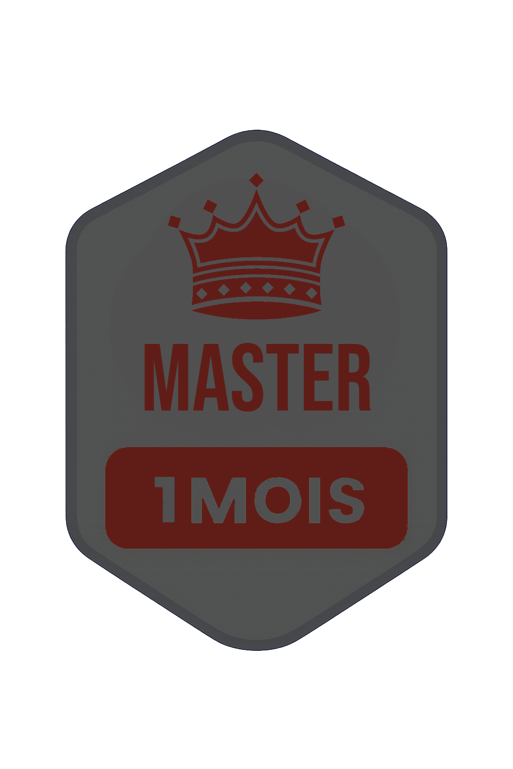 MASTER 1 mois
